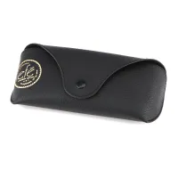 Glasses Case