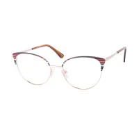Browline Brown Eyeglasses