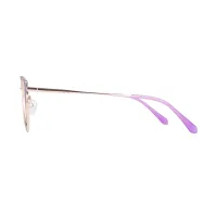 Browline Brown Eyeglasses