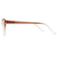 Square Brown/Clear Eyeglasses