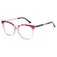 Square Tortoiseshell/Transparent Purple Eyeglasses