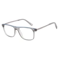 Rectangle Transparent Gray Eyeglasses