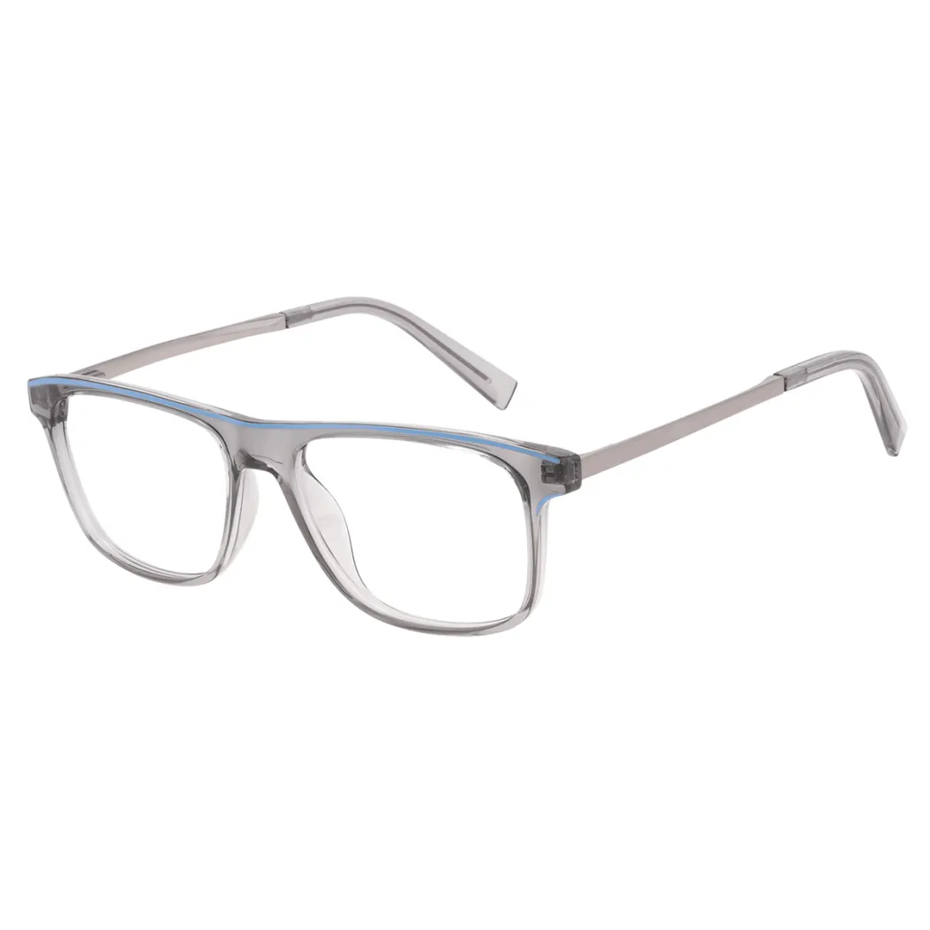 Rectangle Transparent Gray Eyeglasses