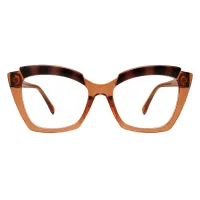 Square Light Brown Eyeglasses