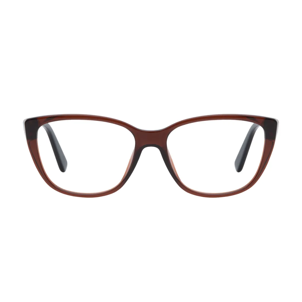 Square Transparent Brown Eyeglasses