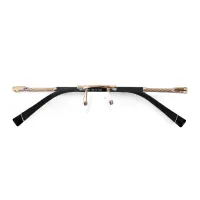 Rectangle Gold/Black Eyeglasses