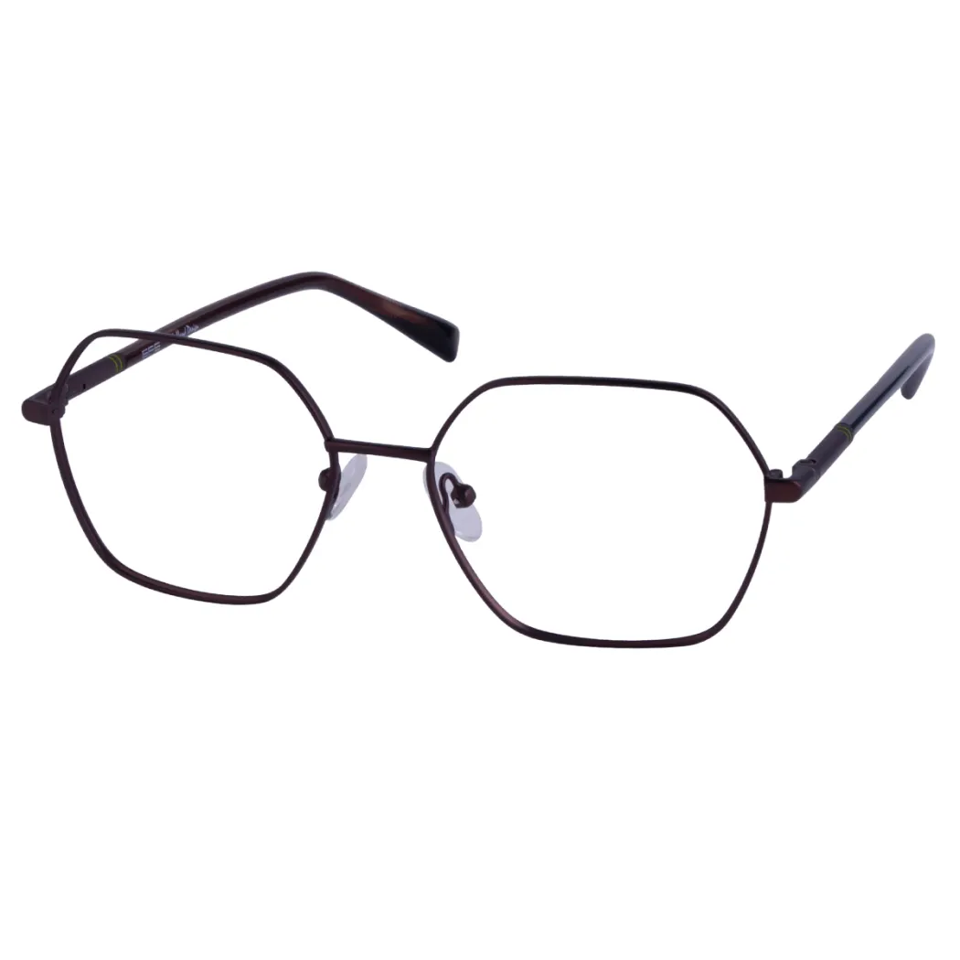 Geometric Brown Eyeglasses