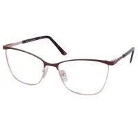 Square Brown/Gold Eyeglasses