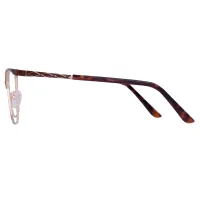 Square Brown/Gold Eyeglasses
