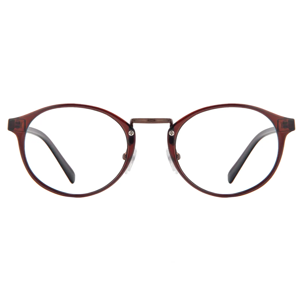 Round Transparent Brown Eyeglasses