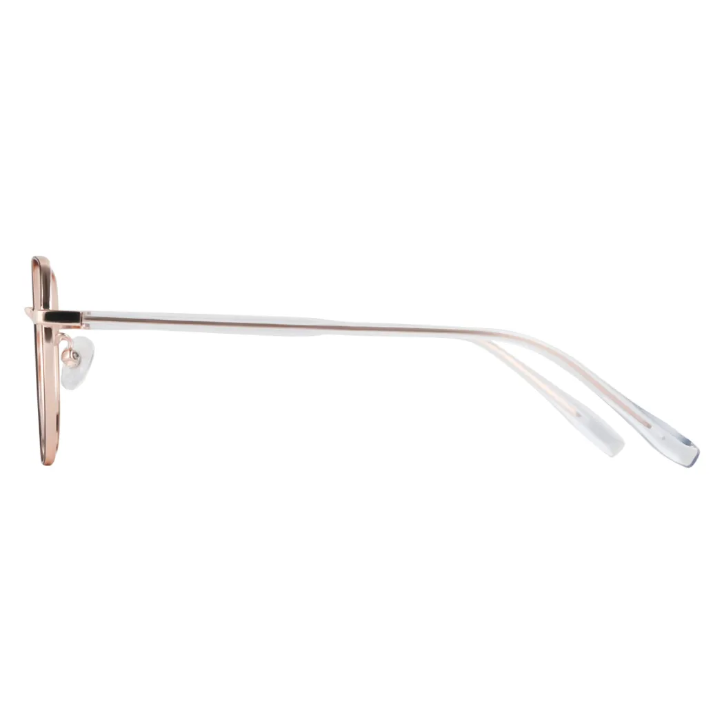 Square Black Gold Eyeglasses