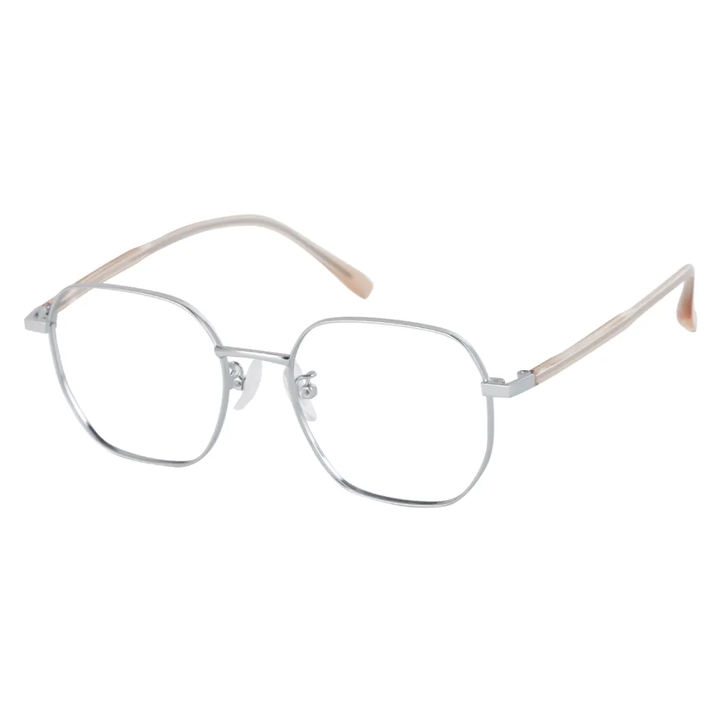 Square Silver Eyeglasses