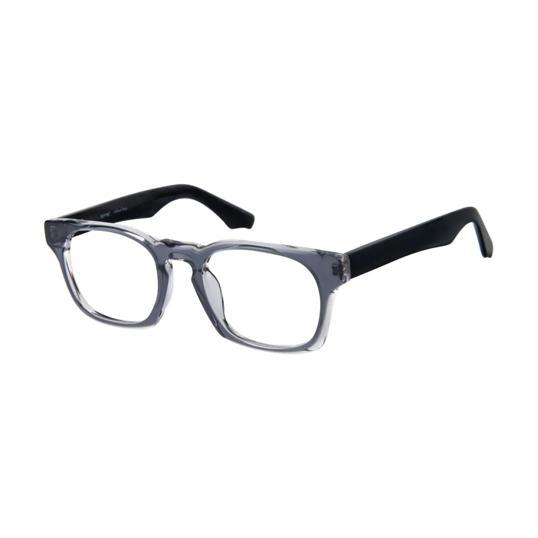 Rectangle Transparent Gray Eyeglasses