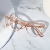 Cat-eye Transparent Pink Eyeglasses