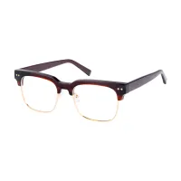Browline Wine/Gold Eyeglasses