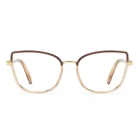 Cat-eye Brown/Gold Eyeglasses