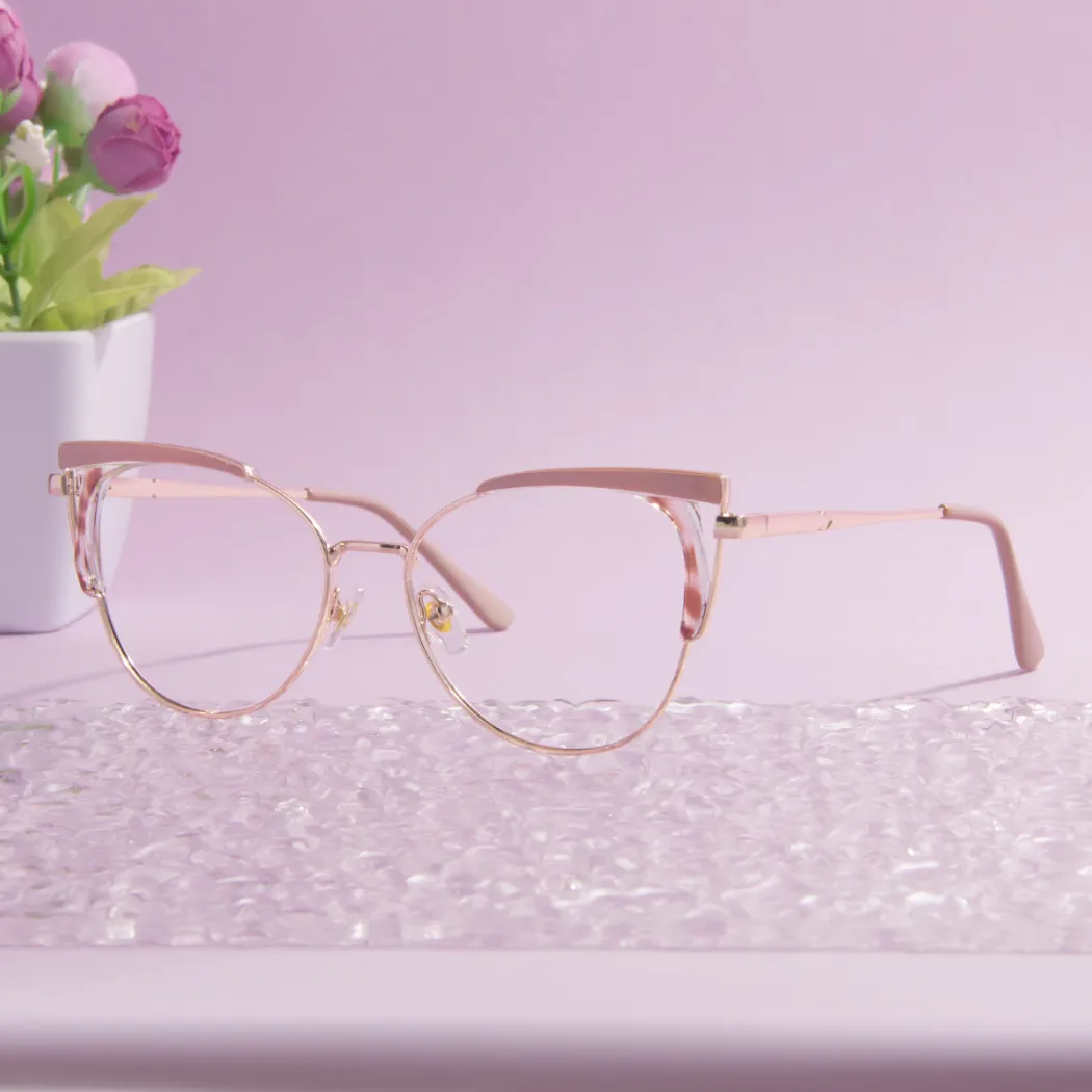 Browline Transparent Brown Eyeglasses