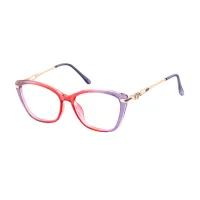 Square Transparent Purple/Transparent Red Eyeglasses