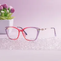 Square Transparent Purple/Transparent Red Eyeglasses