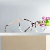 Square Tortoiseshell/Clear Eyeglasses