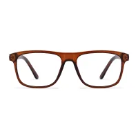 Rectangle Light Brown Eyeglasses