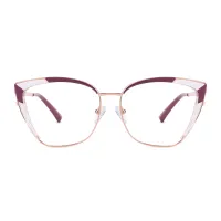 Cat-eye Transparent Pink Eyeglasses