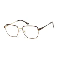 Rectangle Brown/Gold Eyeglasses