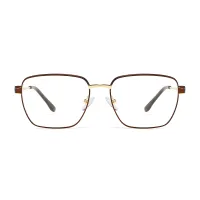 Rectangle Brown/Gold Eyeglasses