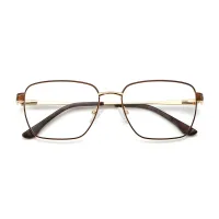 Rectangle Brown/Gold Eyeglasses