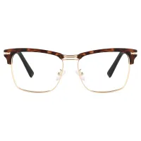 Browline Tortoiseshell/Gold Eyeglasses