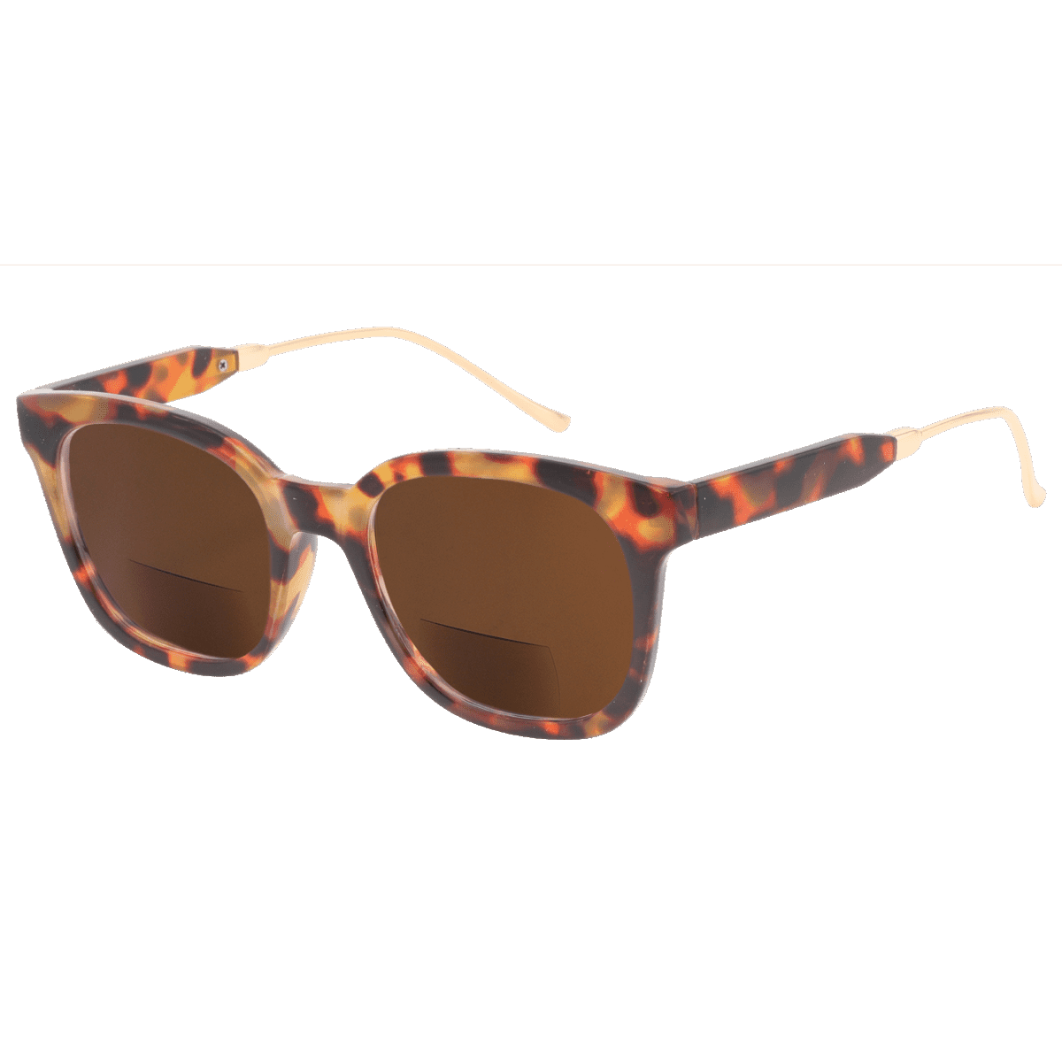  Bifocal Reading Sunglasses