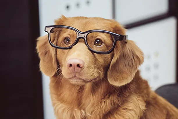 Top 7 discussions about glasses you may confuse